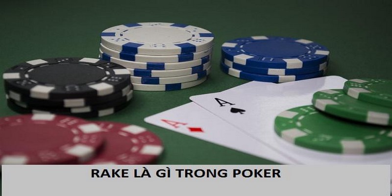 Rake trong Poker là thuật ngữ khá phổ biến với người chơi lâu năm